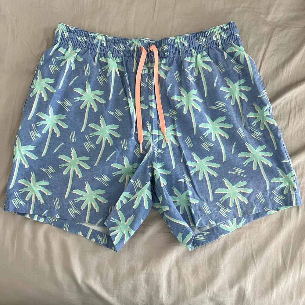 Chubbies Swim Trunks (5.5” Inseam)